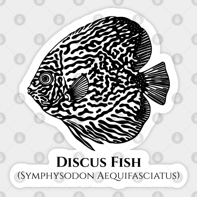 Discus Fish with Common and Latin Names - black and white Sticker by Green Paladin